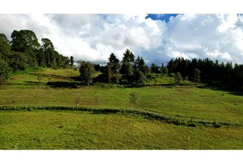 Lote de Terreno en  Avándaro, Valle De Bravo