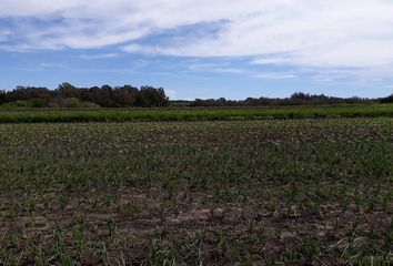 Terrenos en  Martínez, Provincia De Buenos Aires, Argentina