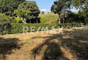 Lote de Terreno en  Acapantzingo, Cuernavaca, Morelos