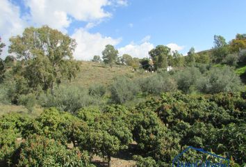 Terreno en  Vélez-málaga, Málaga Provincia