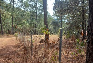 Lote de Terreno en  Valle De Bravo, México, Mex