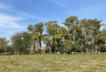 Terrenos en  Francisco Alvarez, Partido De Moreno