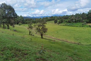 Lote de Terreno en  Valle De Bravo, Valle De Bravo