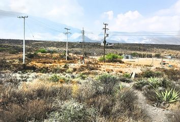 Lote de Terreno en  Ayuntamiento, Arteaga, Arteaga, Coahuila