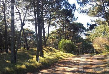 Terrenos en  Otro, Pinamar