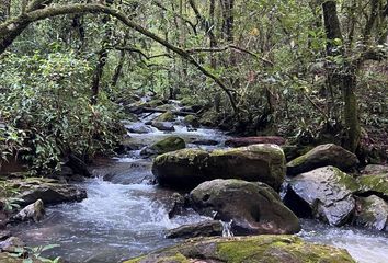 Lote de Terreno en  51200, Valle De Bravo, México, Mex