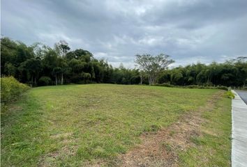 Lote de Terreno en  Cerritos, Pereira