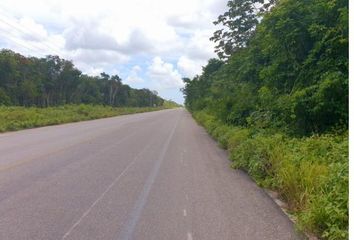 Lote de Terreno en  Coba, Tulum