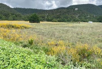 Lote de Terreno en  Calle Del Puma, El Portal San Antonio, Arteaga, Coahuila De Zaragoza, 25385, Mex