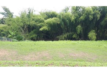 Lote de Terreno en  Cerritos, Pereira