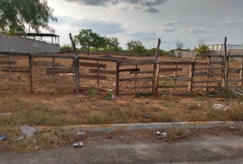 Lote de Terreno en  Palacios, Nuevo Laredo