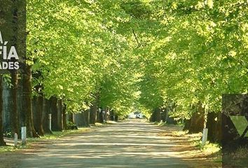 Terrenos en  Robles Del Monarca, Partido Del Pilar