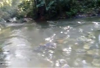 Rancho en  5ta Avenida Poniente Norte 34, Barrio La Esperanza, Palenque, Chiapas, 29960, Mex