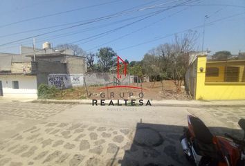 Lote de Terreno en  Naolinco, Veracruz