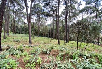 Lote de Terreno en  Avándaro, Valle De Bravo