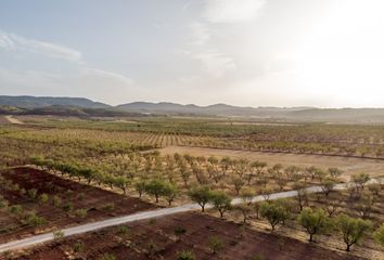 Terreno en  Padul, Granada Provincia