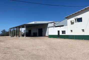 Galpónes/Bodegas en  Bosque Peralta Ramos, Mar Del Plata