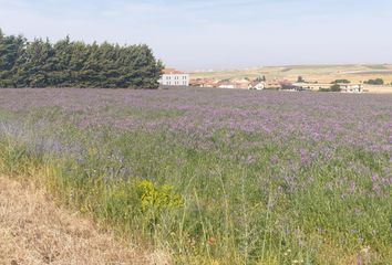 Terreno en  Cabrerizos, Salamanca Provincia