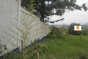 Lote de Terreno en  Muñoz De Domingo Arenas, Tlaxcala