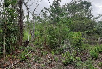 Lote de Terreno en  Bacalar, Bacalar, Bacalar, Quintana Roo