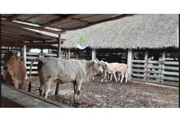 Casa en  Sucilá, Yucatán