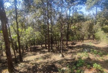 Lote de Terreno en  San Cristóbal De Las Casas Centro, San Cristóbal De Las Casas