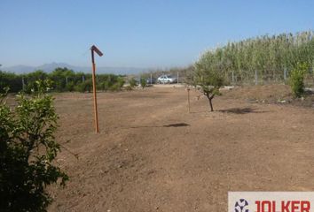 Terreno en  Burriana, Castellón Provincia