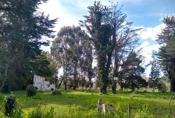 Terrenos en  49mv+24 Camet, Provincia De Buenos Aires, Argentina