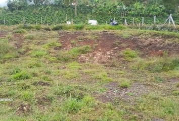 Lote de Terreno en  Carrera 10 6 85, Támesis, Antioquia, Col