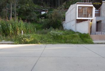 Terreno Comercial en  Nazón (cab. En Pampa De Domínguez), Biblián