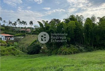 Lote de Terreno en  El Rosario, Manizales