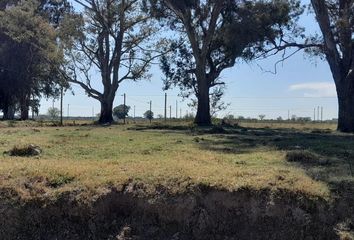 Terrenos en  Ezeiza, Partido De Ezeiza