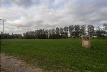 Terrenos en  Los Juncos, Partido De Luján