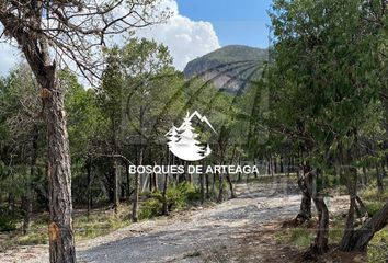 Lote de Terreno en  Arteaga, Arteaga, Arteaga, Coahuila