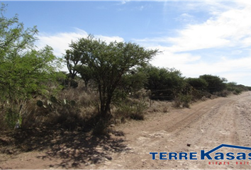 Lote de Terreno en  Guadalupe, Zacatecas, Mex