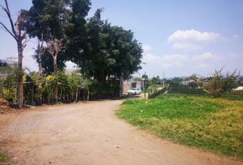 Lote de Terreno en  Campo Nuevo, Cuautla, Morelos