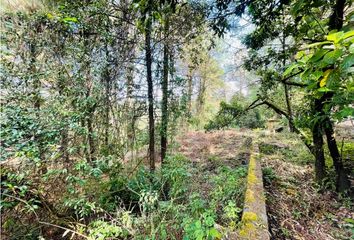 Lote de Terreno en  Avándaro, Valle De Bravo