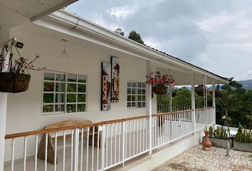 House for rent in Kennedy, Pereira