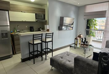 Apartment for rent in Centro, Pereira