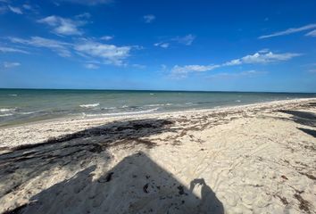 Lote de Terreno en  Chicxulub Pueblo, Yucatán