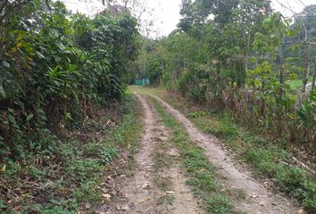 Lote de Terreno en  Anatolí, La Mesa