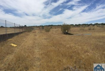 Terreno en  Mirandilla, Badajoz Provincia