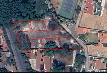 Lote de Terreno en  Palmira Tinguindin, Cuernavaca, Morelos