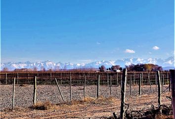 Terrenos en  Luján De Cuyo, Mendoza