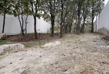 Lote de Terreno en  Avenida De Los Leones, Ciudad Bugambilia, Zapopan, Jalisco, 45237, Mex