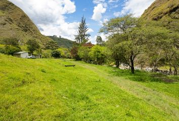 Terreno Comercial en  Vilcabamba (victoria), Loja