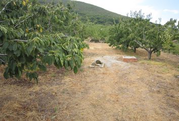 Terreno en  Casas Del Castañar, Cáceres Provincia