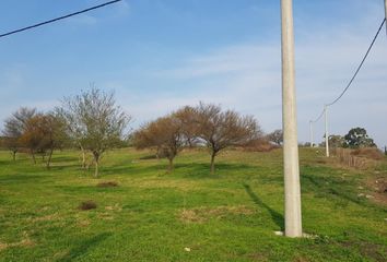 Terrenos en  Victoria, Entre Ríos