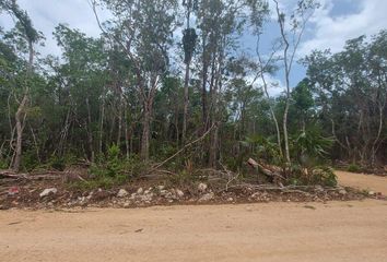 Lote de Terreno en  La Veleta, Tulum