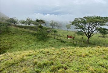 Villa-Quinta en  La Tebaida, Quindío